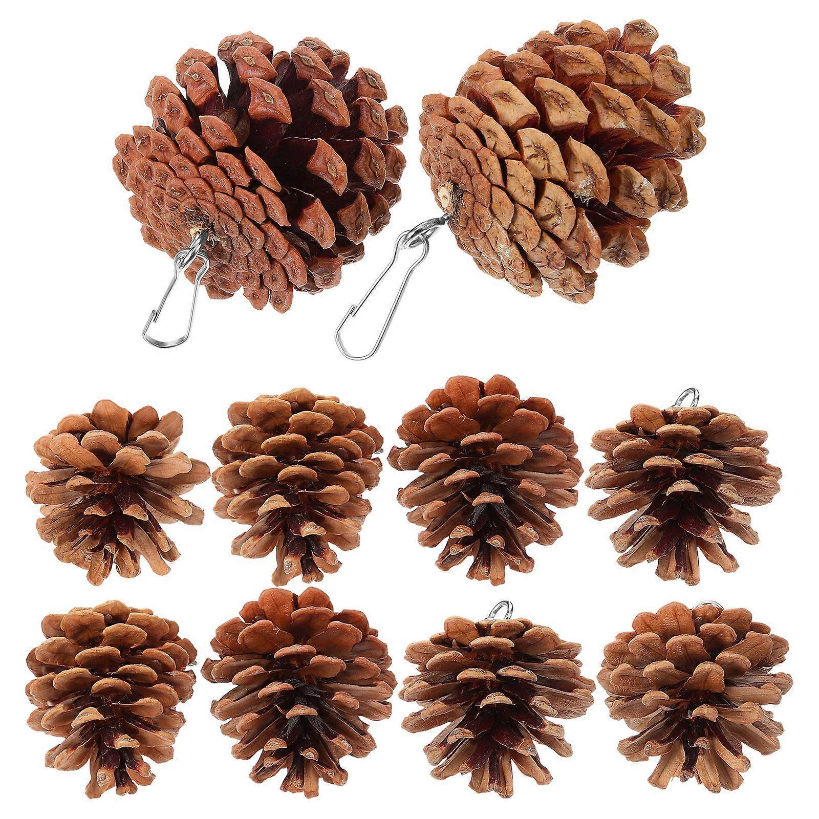 10pcs Bird Chewing Toys Bite-resistant Parrot Foraging Pine Cone Plaything