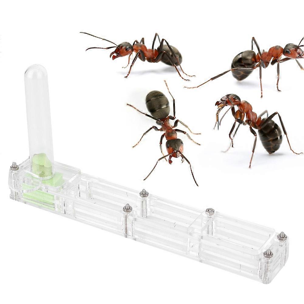 Acrylic Ant Breeding House Nest Formicarium Display Box with Water Tower Moisturizingtransparent