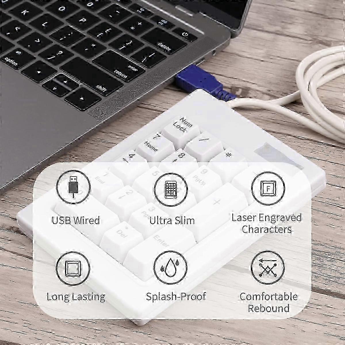Scratch Resistant Wireless Numeric Keypad, Dye-sub Pbt Keycaps, Low Power Consumption Design w