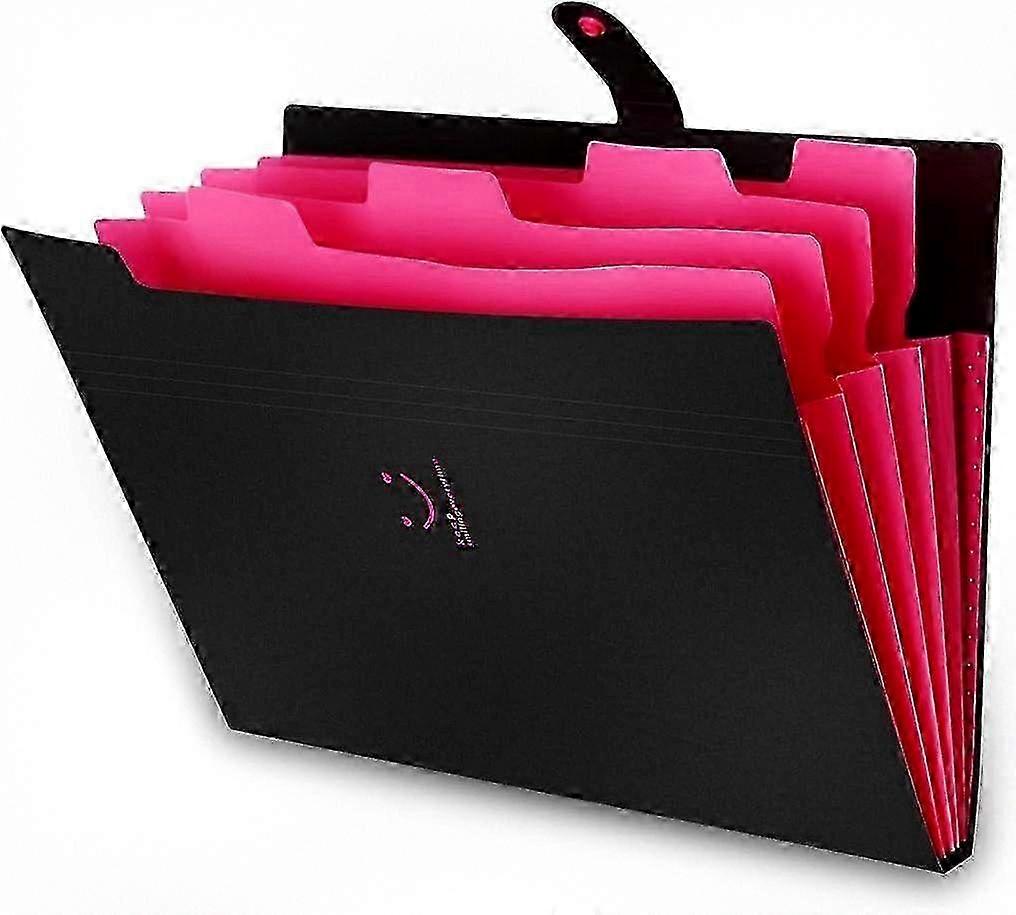 Expandable A4 Document Organizer, 5-Section Portable File Holder