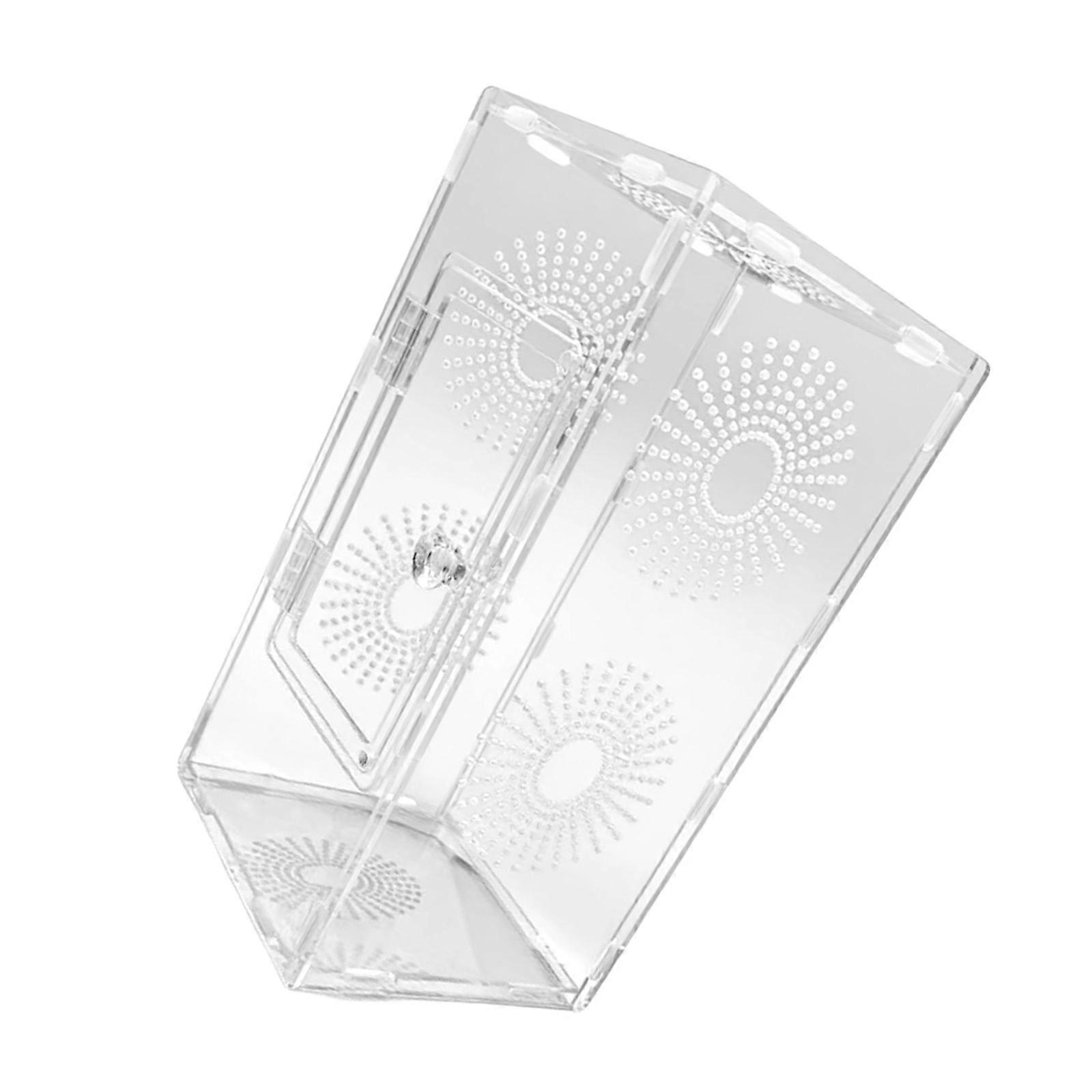 Transparent Pet Reptiles Habitat Tanks For Beginner Ventilation Design Observation Terrarium for Classroom Education Use Multicolor