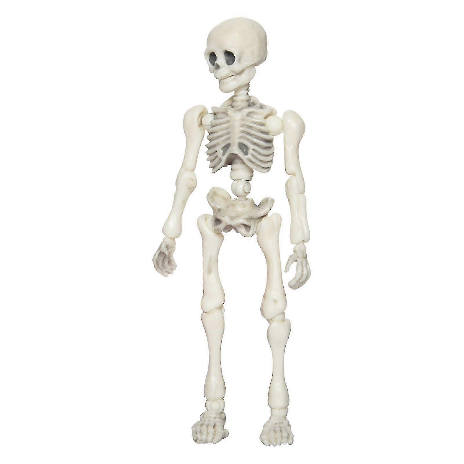 Skeleton Man Skeleton Model Action Figure WUD4663
