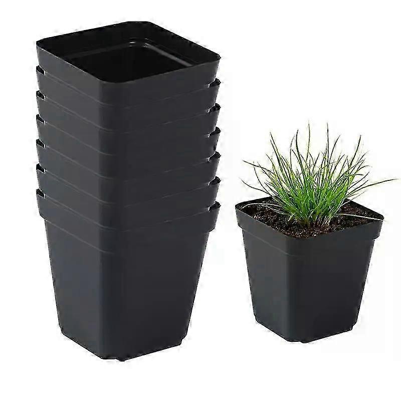 seedling cups 50pcs square plastic starter pots for nursery