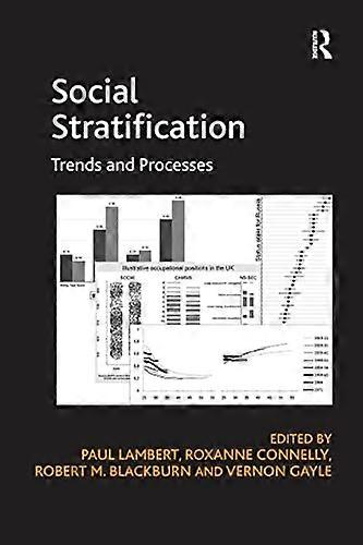 Stratification sociale : tendances et processus