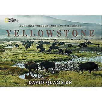 Yellowstone: Eine Reise durch Amerikas Park