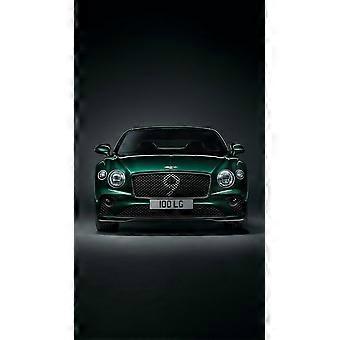 Jogo de quebra-cabeça Bentley Continental GT Number 9 Edition para adultos e crianças F202