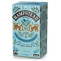 Peppermint and peppermint infusion 20 infusion bags