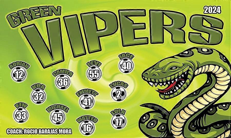Vipers  - Soccer  flag YTP-766