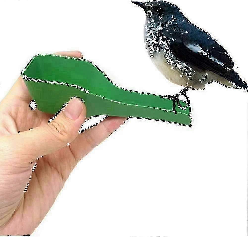 Compact Parrot Feeding Spoon Green