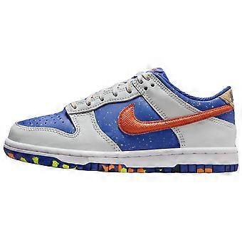 Nike Dunk Low Paint Splatter GS HJ9233-025