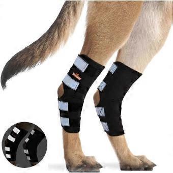 Canine Rear Hock Joint Support with Safety Reflective Straps for Joint Injury & Sprain Protection, 1 Pair Dog Rear Leg Brace