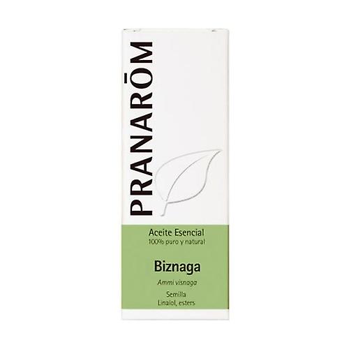 Biznaga Essential Oil 5 ml of essential oil
