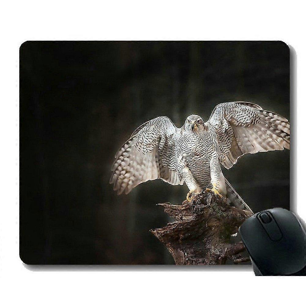 gaming mouse custom,spread rectangle 300x250x3 wings bird personalized