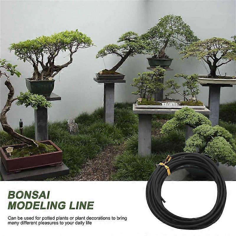 10 Rolls Bonsai Wires Ανοδιωμένο Αλουμίνιο Bonsai Training Wire σε 5 μεγέθη - 1.0 mm, 1.5 mm, 2.0 mm, 2.5 mm, 3.0 mm Μαύρο