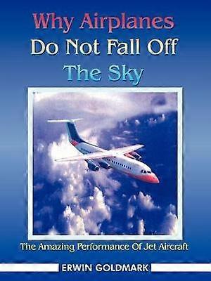 Why Airplanes Do Not Fall Off The Sky