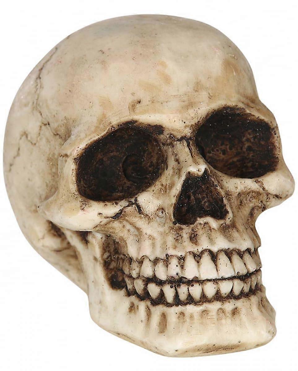 Small Skull Halloween Decoration 8 cm