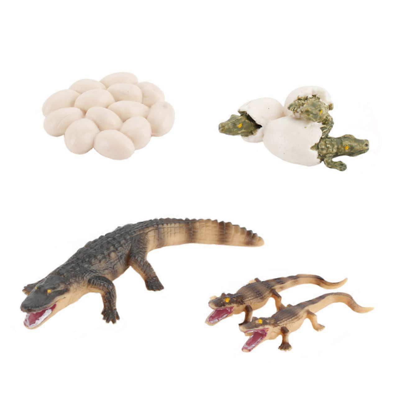 1 Simulation Model for Educational Learning and Creativity, Durable and Colorful for Indoor and Outdoor Decoration'