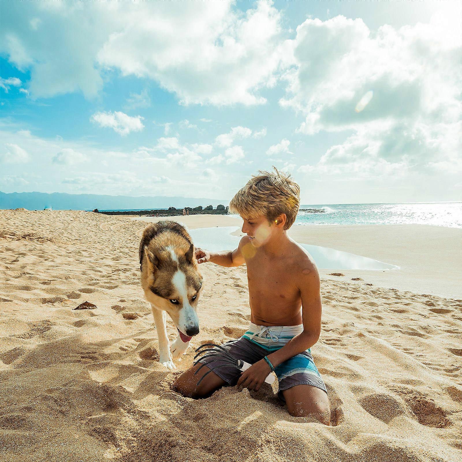 Seafood Digging Tool Clam Rake with Wood Handle for Home Use 2Pcs