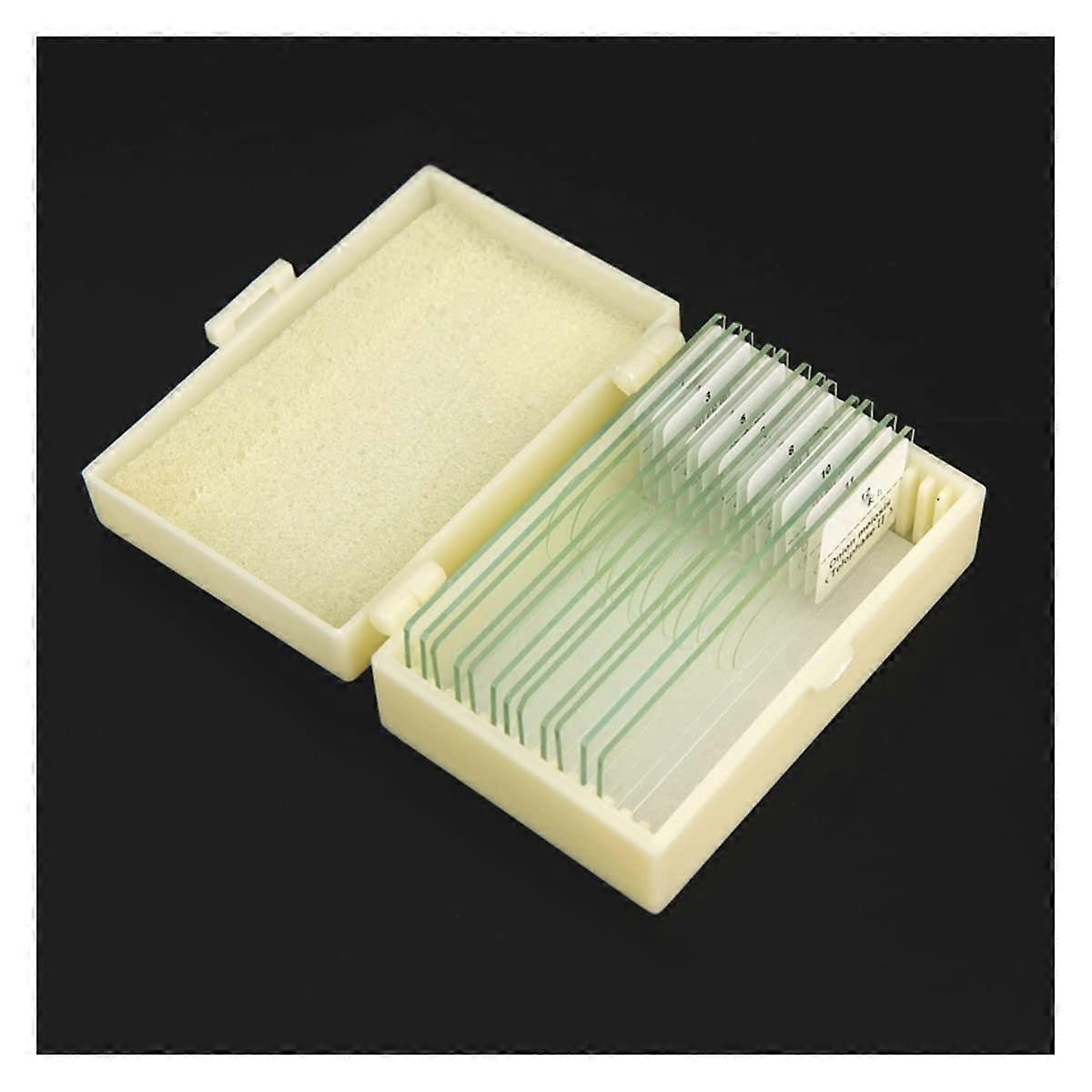 Prepared Microscope Slides Set 12 PCS with Clear Labeled Biological Specimens for Education