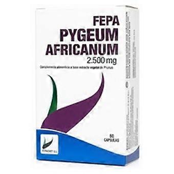 Pygeum africanum prostate 60 capsules