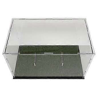 Olive Rugby Ball Display Case for Storage Use Acrylic Transparent Showcase