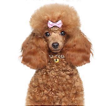 Pet Bell Collar Golden for Portable Decoration Pet Necklace 1Pcs Accessory