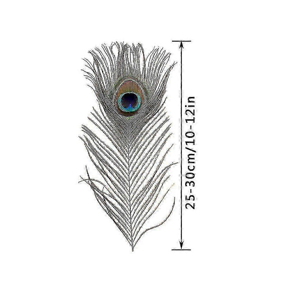 Natural Peacock Feathers DIY Craft Decor 10 Pc