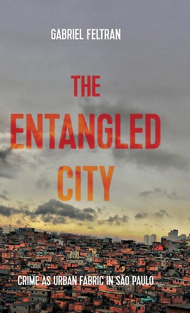 The Entangled City by Gabriel Feltran Paperback Book