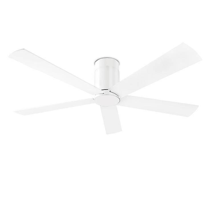 Rodas Ceiling Fan White - Special Offer
