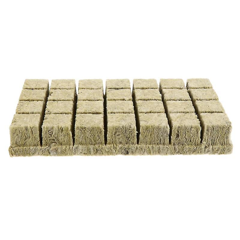 28pcs Soilless Cultivation