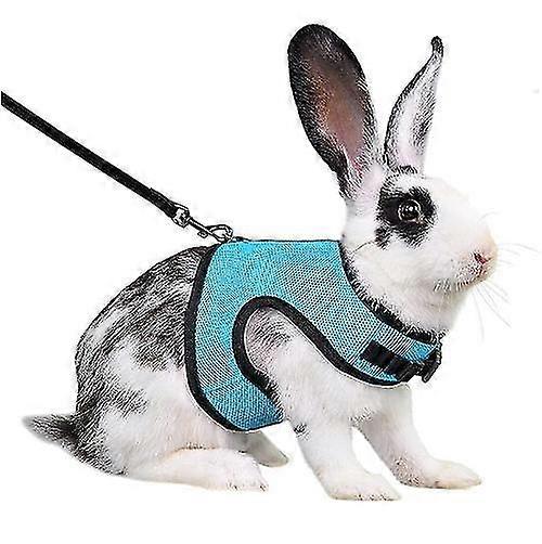 Adjustable Rabbit Harness Breathable Mesh Rabbit Harness Walking Jogging Harness For Rabbit Kitten