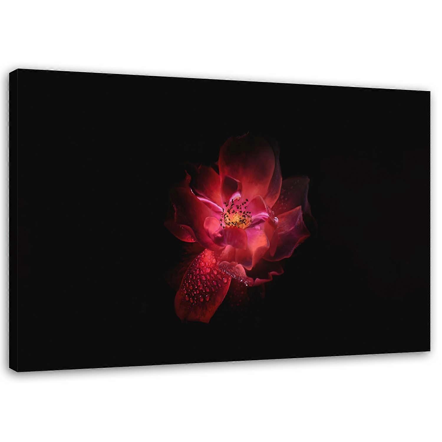 Impression sur toile, Fleur de Nuit - 90x60