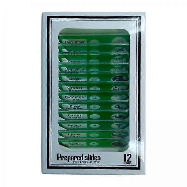 3 × 12 قطعة أعدت شرائح علم الأحياء الدقيقة التعليمية للأطفال في الفصول الدراسية المنزلية