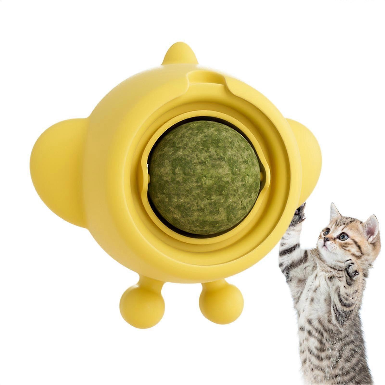 Cat Toy – Healthy Kitten Set for Wall and Door, Interactive Role Play Toy, Safe Material, for Cats of All Ages