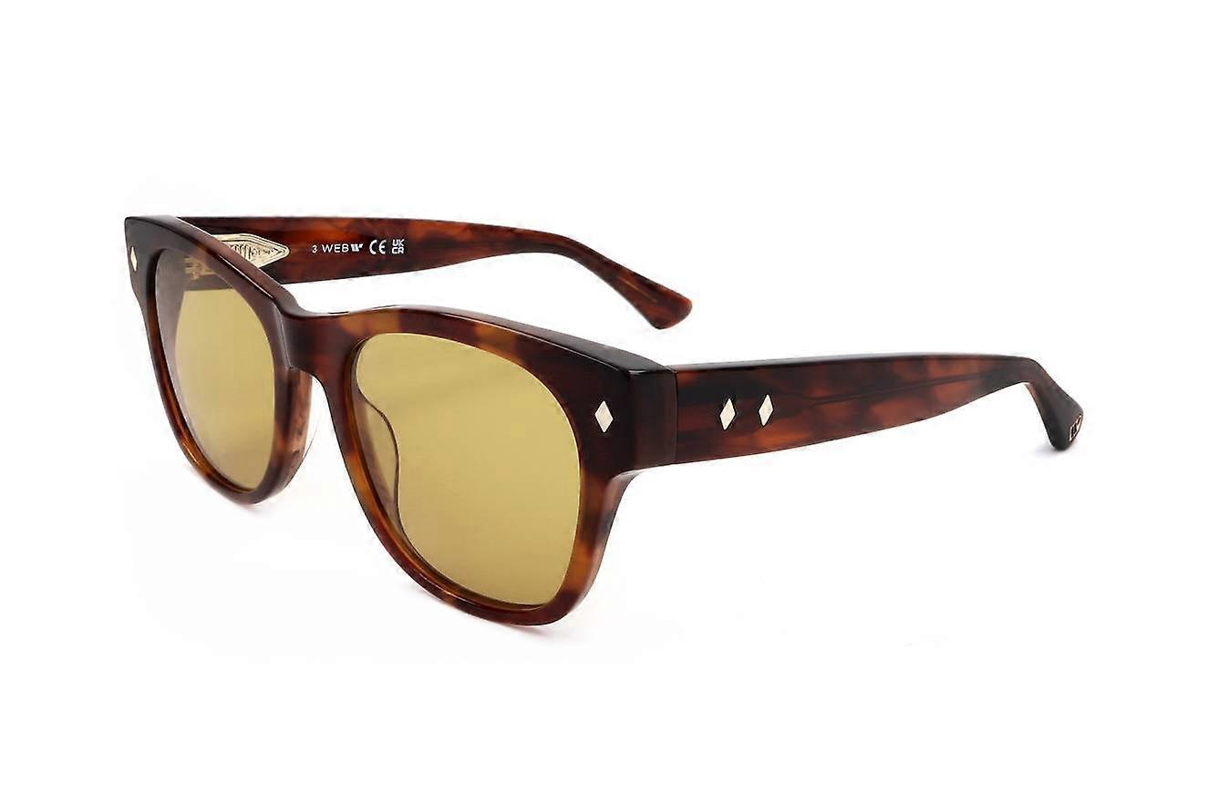 Sunglasses Web WE0353 56E HAVANA 52/19/145 MAN