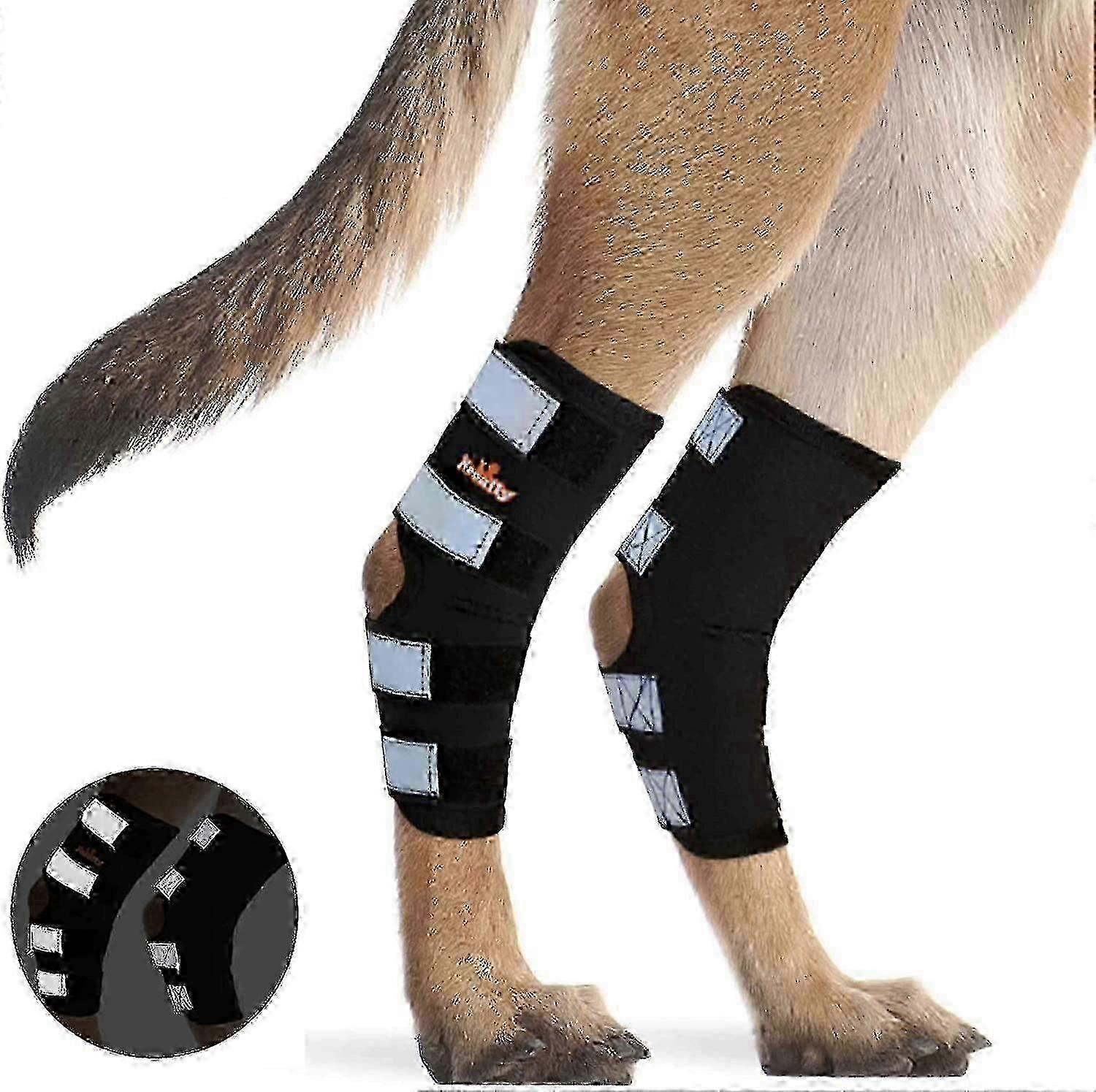 Canine Rear Leg Brace - Hock Joint Support with Reflective Straps