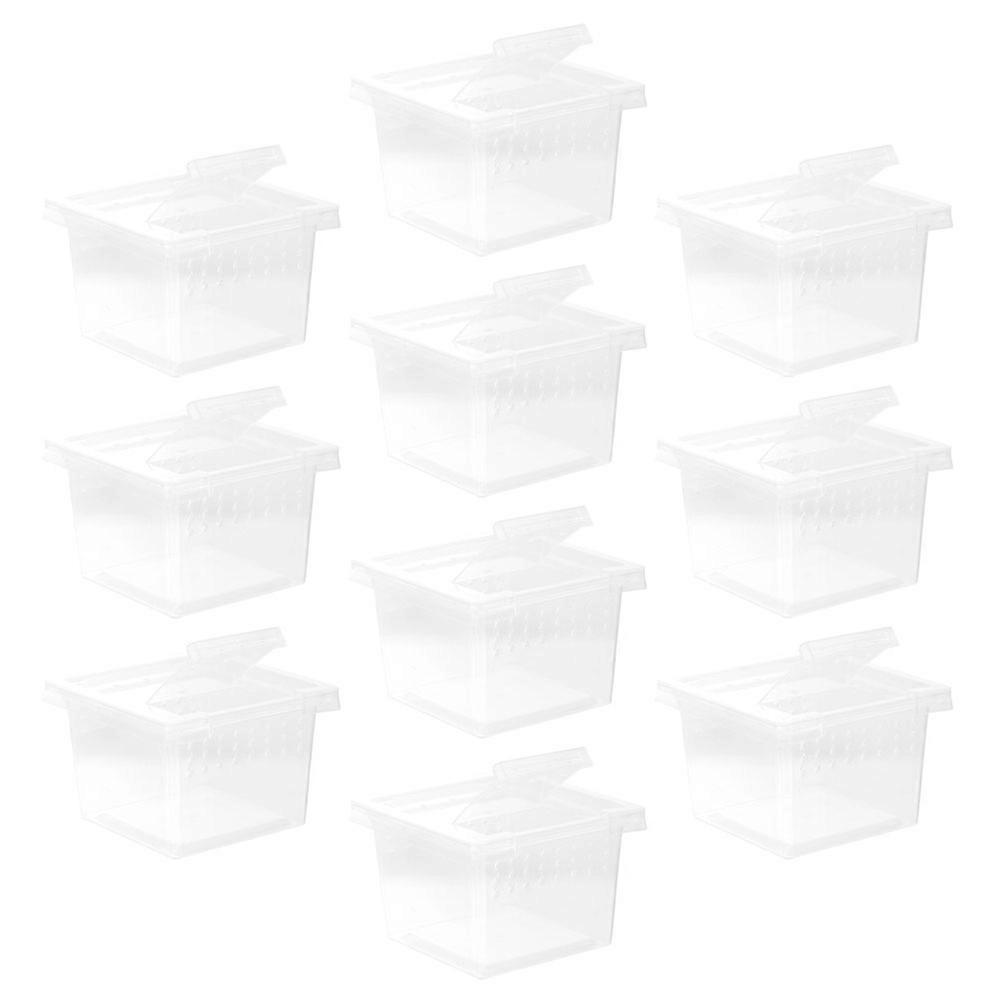 Reptile Feeding Box Clear Reptile Case for Practical Use 30Pcs Pack