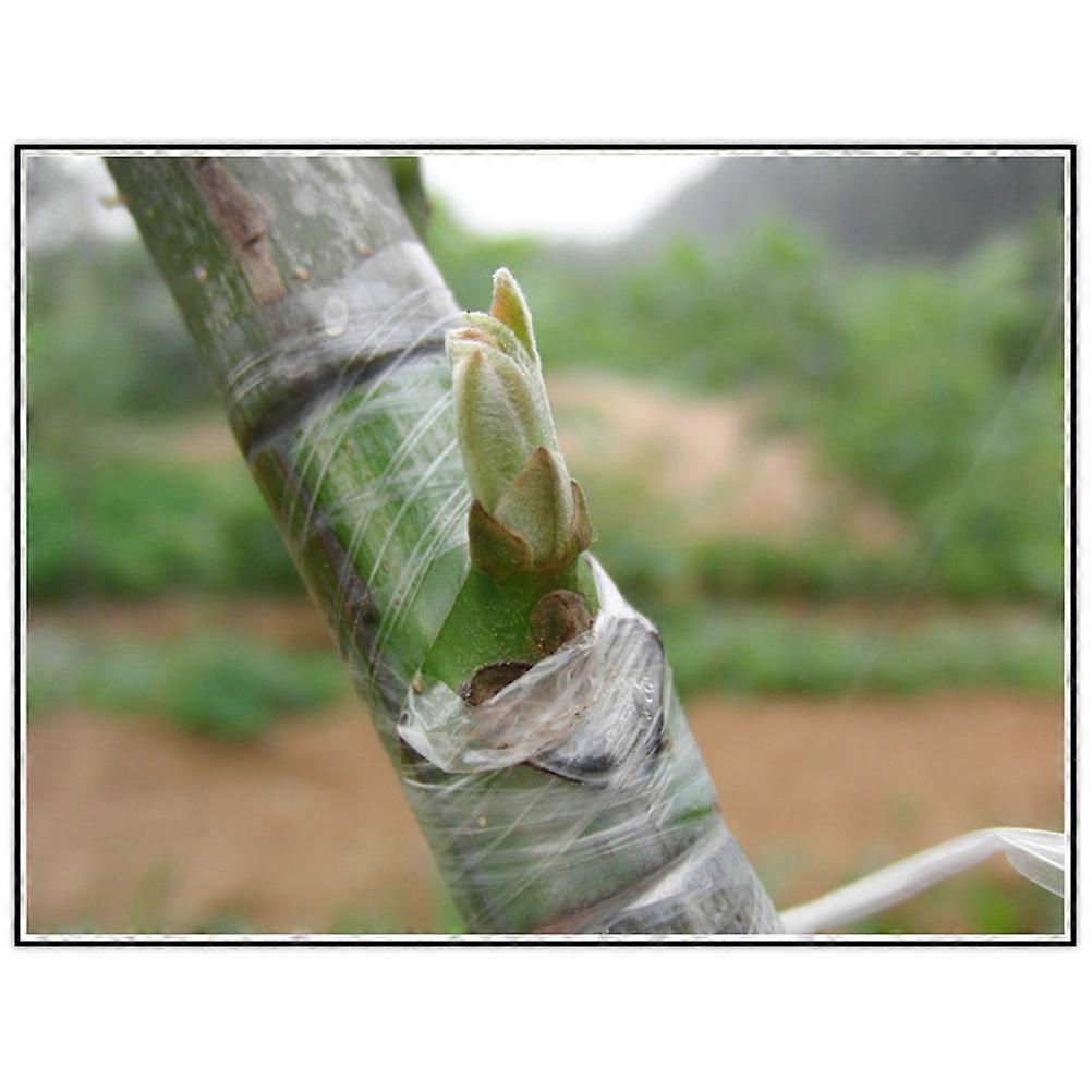 Self-Adhesive Tree Grafting Tape for Vegetable Grafting Yellow