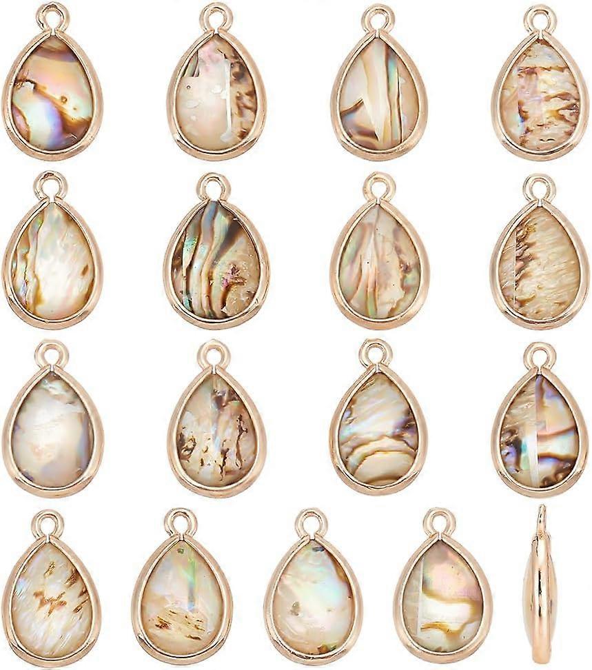 Abalone Shell Charms, Paua Shell Pendant Shell Charms for Jewelry Making