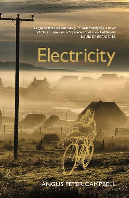 Electricity - Angus Peter Campbell