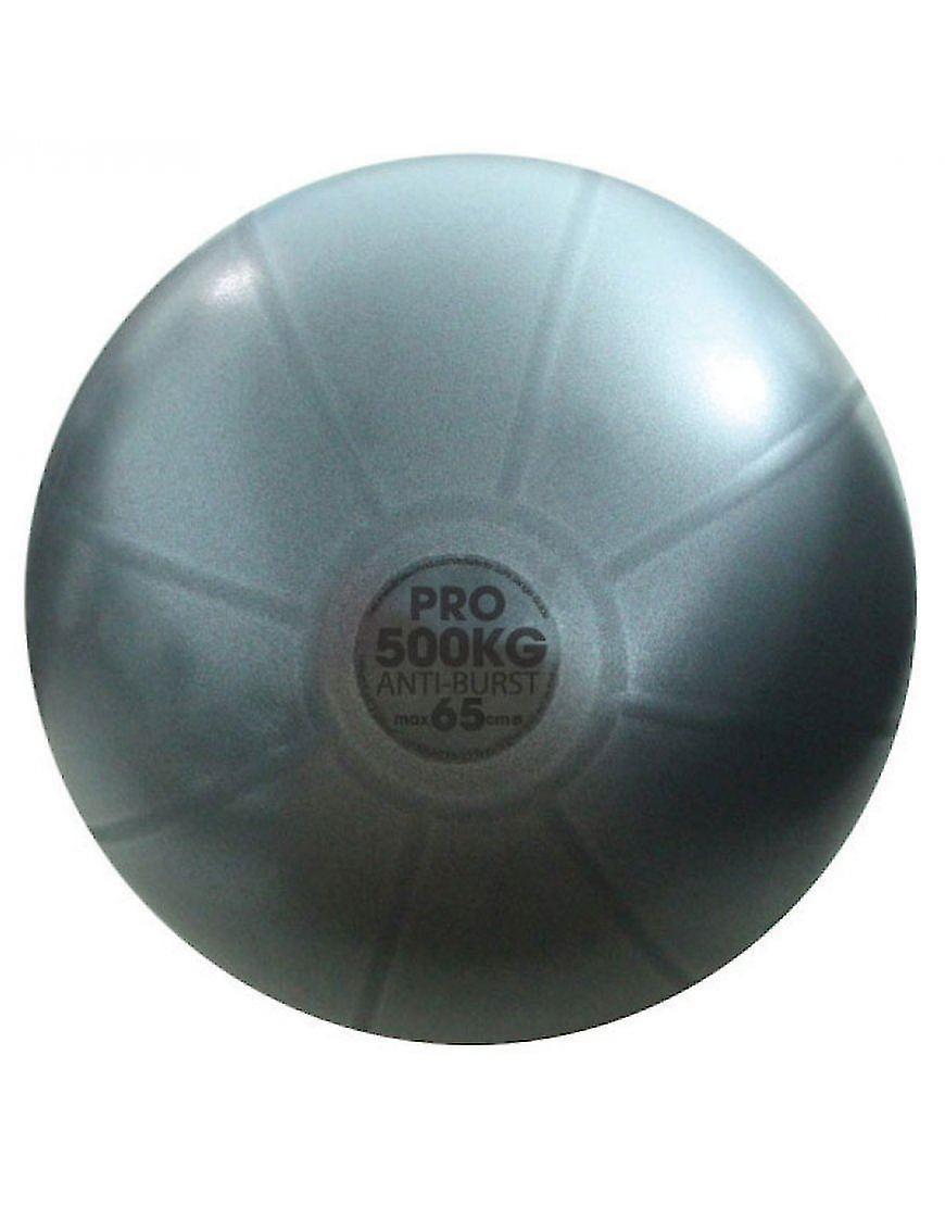 500kg Studio Professional Fitness Swiss Ball Only