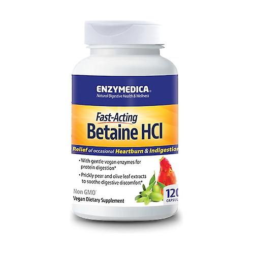 Betaine HCL 120 vegetable capsules