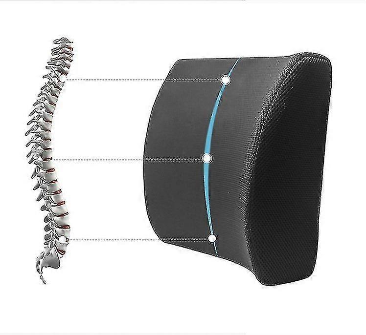 Ergonomic Lumbar Support Pillow Elevates Lower Back Comfort Zone Pure Memory Foam
