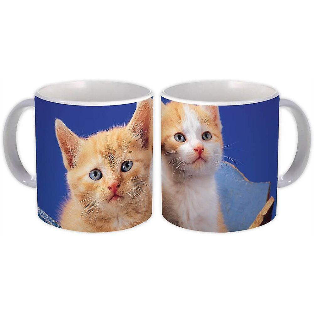 Gift Mug: Cat Animal