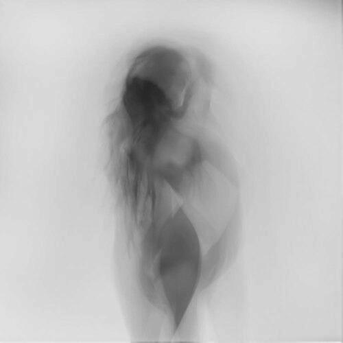 ルナ・キス・フォローイング・シャドウズCD(2019) NEW