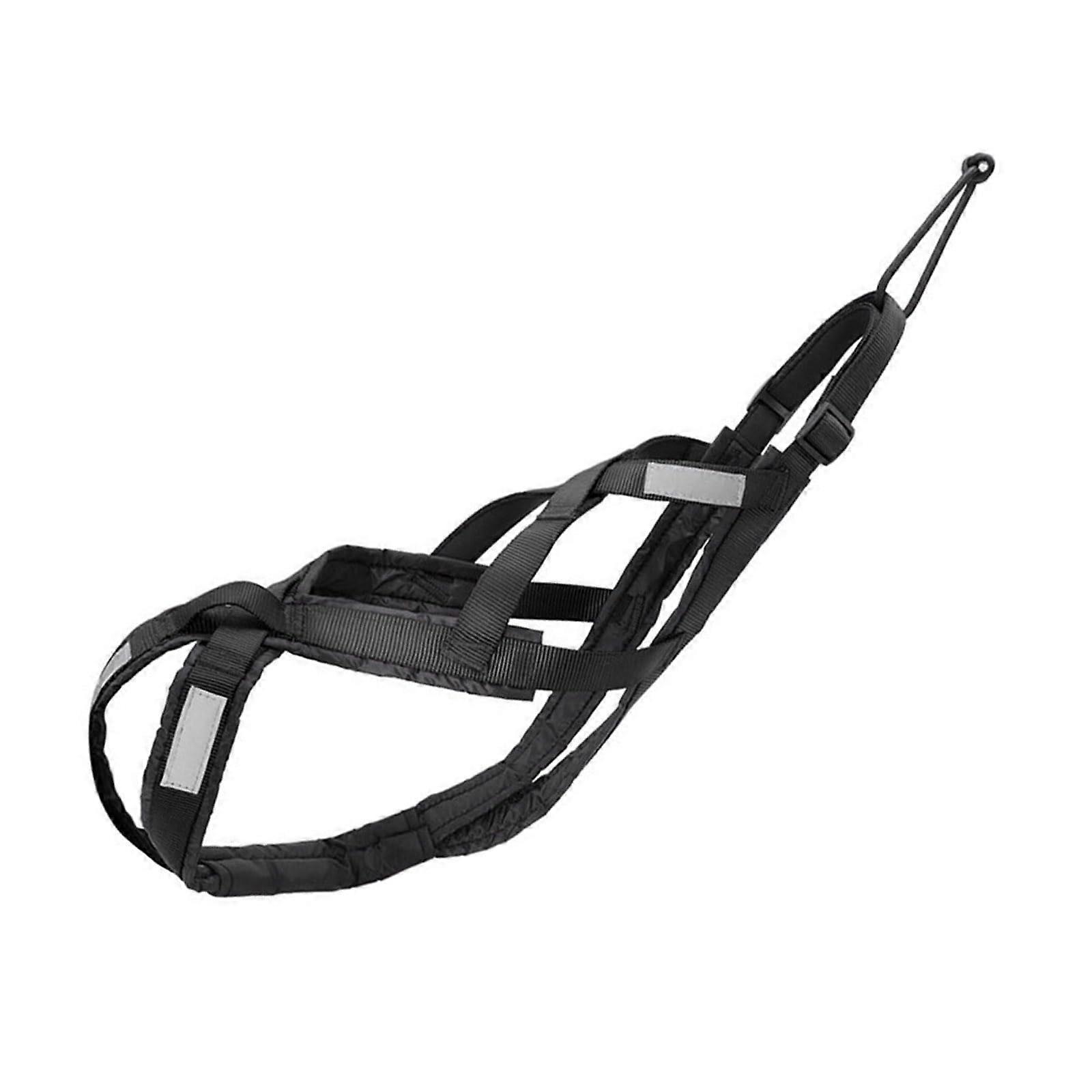 Large Breed Dog Harness, Adjustable Reflective Chest Strap for Running, Biking, Skiing, Adventure, Black XL