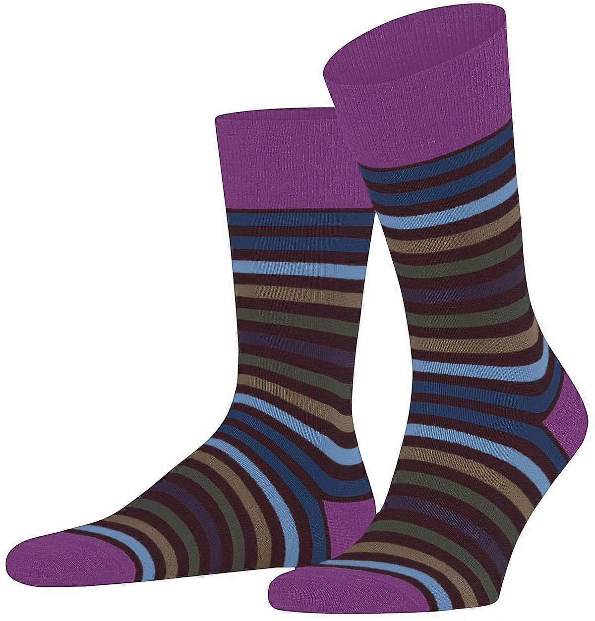 Falke Tinted Stripe Socks - Rioja Purple
