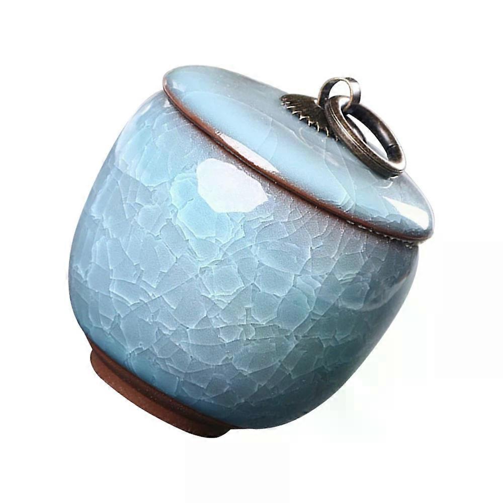 Pet Ashes Tank, Mini Ceramic Pet Cinerary Casket Bone Ash Jar