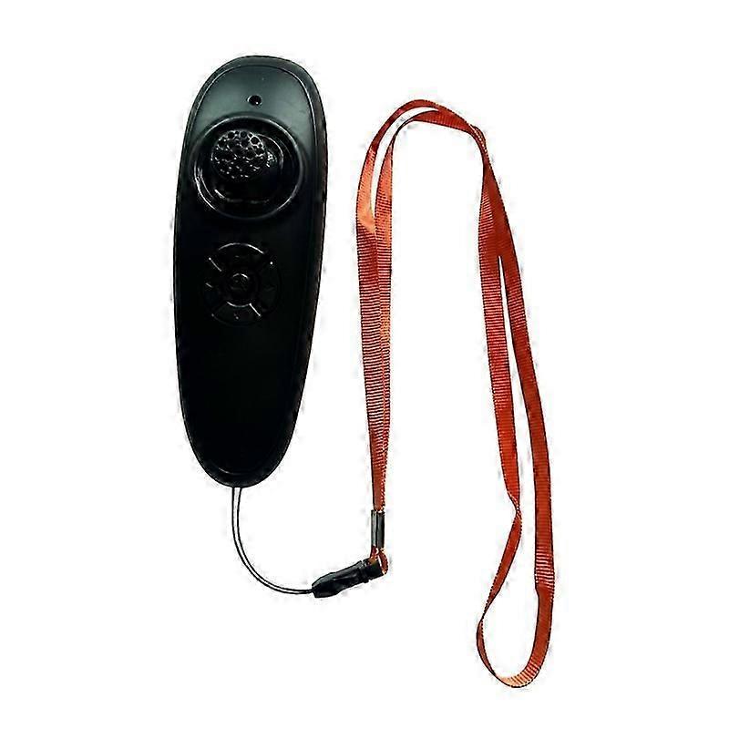 Intelligent Remote Control Fishing Boat Automatic Fixed Point Baiting and Nesting Wireless Remote Co