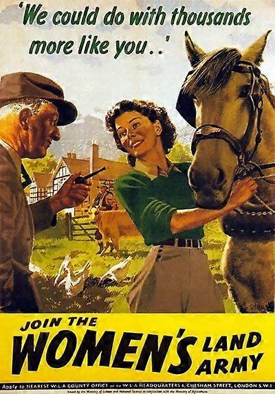 Grow For Winter SummerJigsaw Puzzle Brain Teaser EB 4655